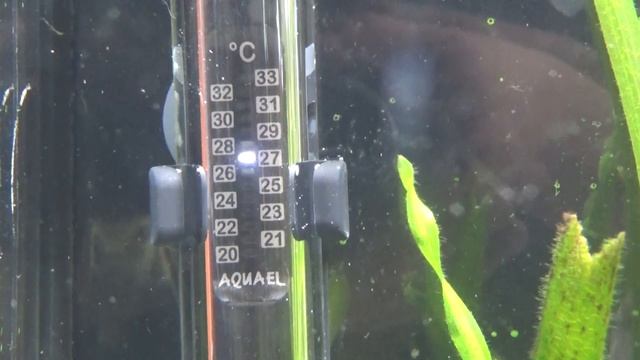 Обзор нагревателя Aquael Platinium