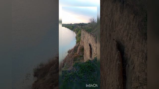 Заброшенный Лес(cover) смотреть онлайн