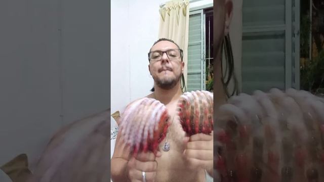 Novas maracas shekere. смотреть онлайн