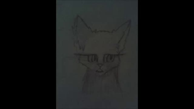 Снова анимация "Кошка" смотреть онлайн