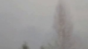 FINIST - Вдоль сожжённых деревень - Along the Burned Villages (Official Video) Arisk Star