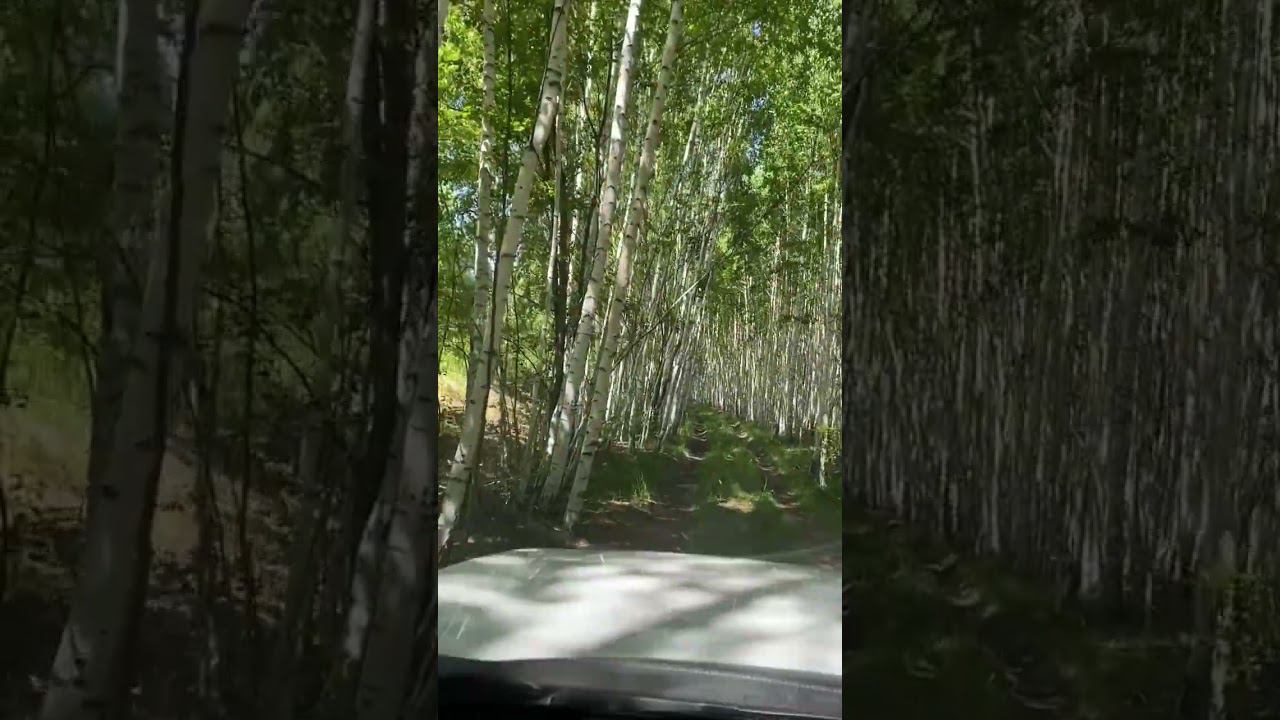 Нахрен нам Дубай У нас красивей смотреть онлайн