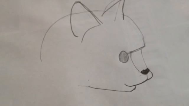 Как рисовать кота смотреть онлайн