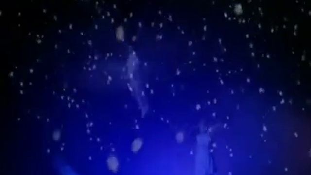 МОЙ ЛАСКОВЫЙ И НЕЖНЫЙ ЗВЕРЬ смотреть онлайн