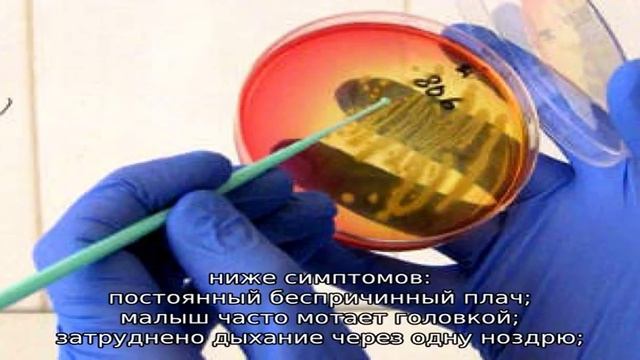 Этмоидит: симптомы и лечение у детей смотреть онлайн