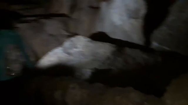 Мраморная пещера(2 часть) смотреть онлайн