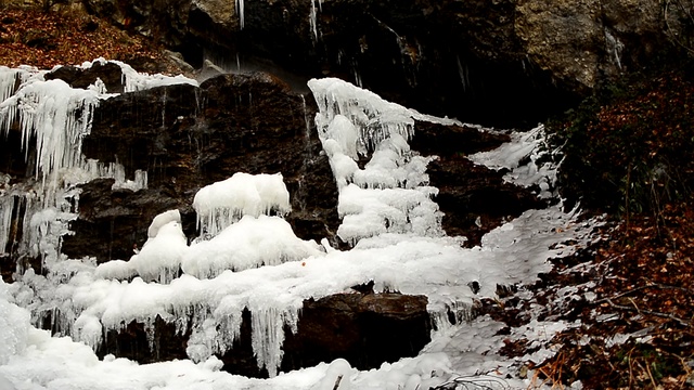 DSC_5596 смотреть онлайн