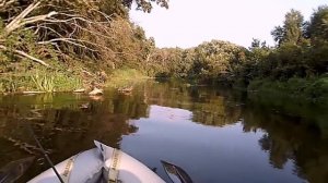 ?4 Рыбалка на реке Ворона. Голавль, щука,  окунь на ультралайт