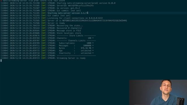 NATS Streaming Tutorial #1: Architektur, Installation, Hello World (German) смотреть онлайн