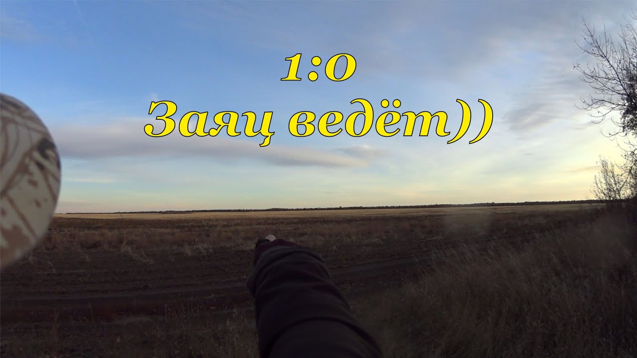 Охота на зайцев - Пока 1:0)) Зайчик ведёт)) смотреть онлайн