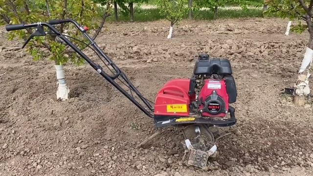 Як утримувати грунт під плодові дерева.Абрикос смотреть онлайн