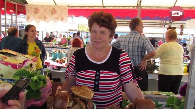 Где в Слонимском районе много грибов? смотреть онлайн