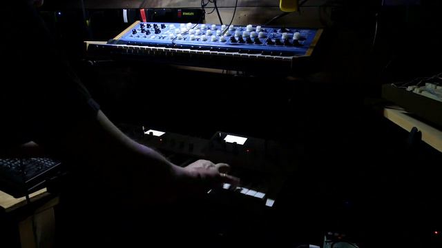 Waldorf Blofeld Custom Pad: B078 "The Wee Ones" смотреть онлайн