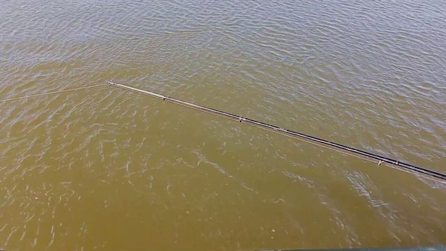 ловим Сомов днём на спиннинг с лодки река Онон смотреть онлайн