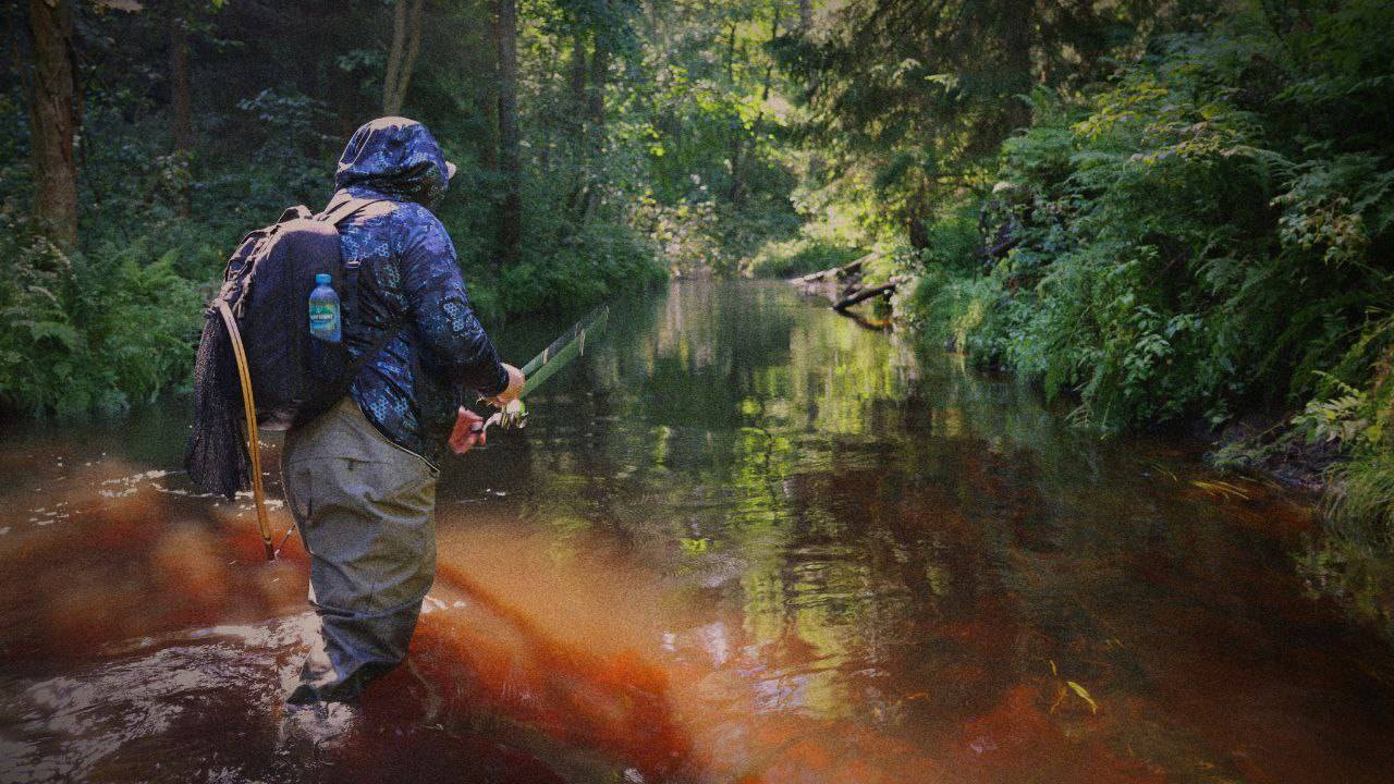 Лучшая форелевая речка. Ловля форели. Рыбалка в Ленинградской области смотреть онлайн