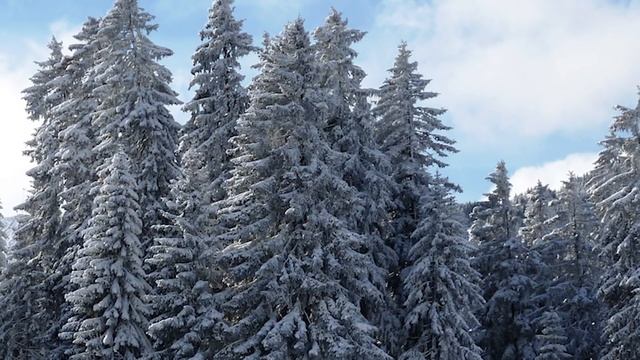 Евангелие дня. Библейские чтения. Седмица 6-я Великого поста (седмица ваий). (08 апреля 2020 г.) смотреть онлайн