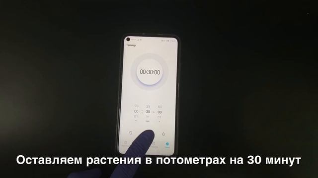 Определение вкладов верхнего и нижнего концевых двигателей в поступление воды в проростки растений смотреть онлайн