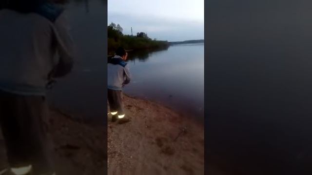 Ловля налима на миногу смотреть онлайн