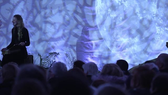 A Flight Before Christmas at Longleat смотреть онлайн