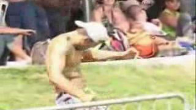 Вот его прет! смотреть онлайн