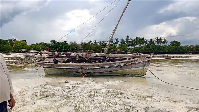 Экскурсия плавание с дельфинами Танзания Занзибар деревня Кизимкази Kizimkazi смотреть онлайн