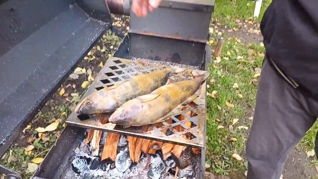 Коптим рыбу терпуг на мангале с крышкой от Пегас ?? Вкуснотень смотреть онлайн