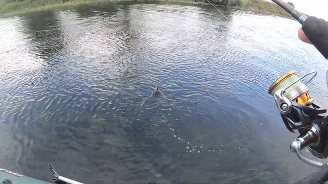 Обзор посылки из Rybalkashop.ru. Новый Lucky Craft Clutch косит голавлей