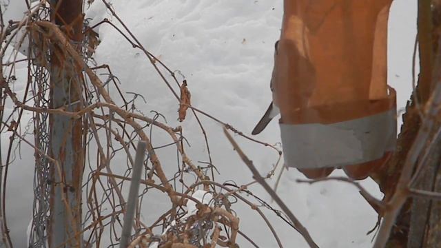 синицы и снегири смотреть онлайн