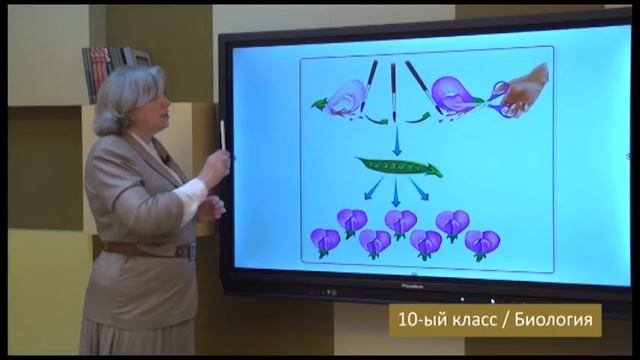 “Dərs vaxtı”: 10-cu sinif dərsləri ( rus bölməsi) (21.05.2021) смотреть онлайн