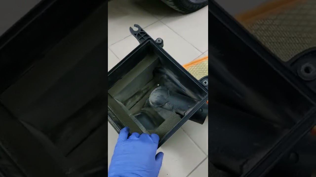 Оживление Гранты