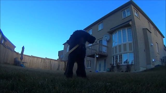 Skipper in slow motion смотреть онлайн