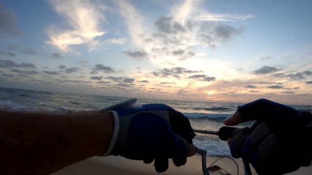 Shore Spinning - Blue Runner + Bluefish - AIMS Black Arrow Unlimted BAU 86 ML + Duo Ryuki 80s.