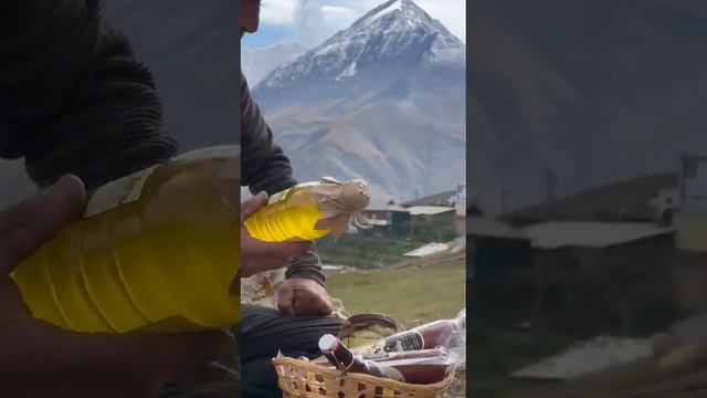 эколагический чистый прадукты от кампани исаевы. смотреть онлайн