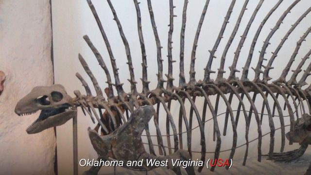 Top 10 Animals That Were SCARIER than Dinosaurs смотреть онлайн