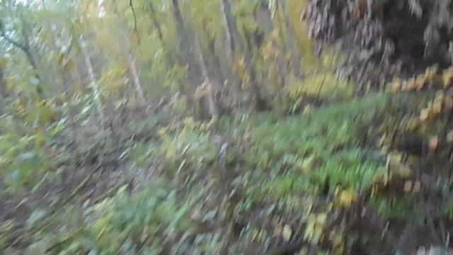 Прорыв к новой избушке через лесные завалы и болото. смотреть онлайн