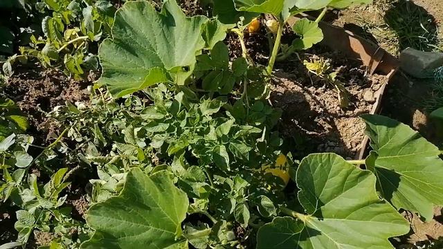 ВЛОГ Хорошо что мы это не сделали! смотреть онлайн