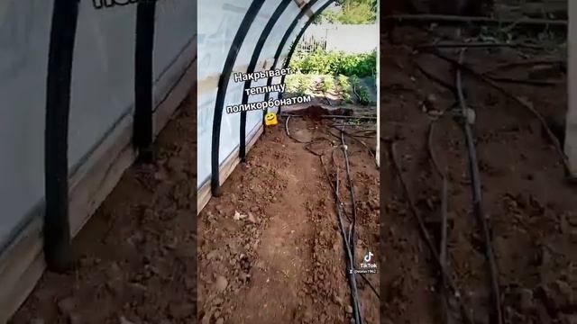 Набросили поликарбонат на каркас теплицы, посмотрели. Красиво. смотреть онлайн