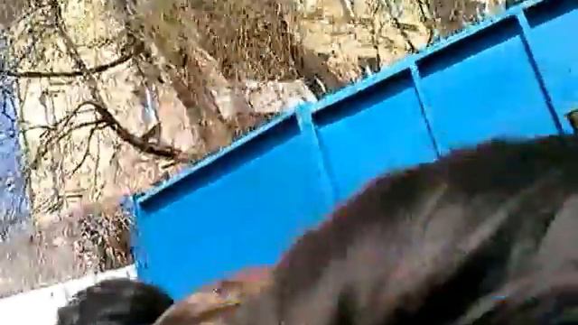 Мечеть Даруль Аркум ментовский беспредел смотреть онлайн