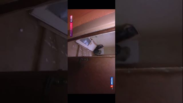 Продолжаем отстаивать свои права‼️Война продолжается‼️ смотреть онлайн