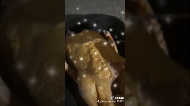 Технический Консьерж