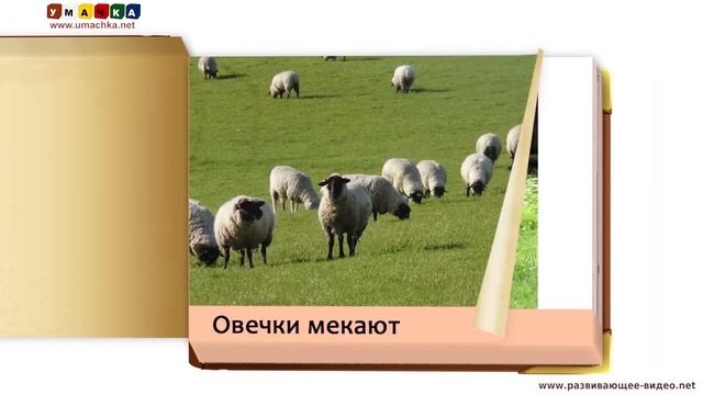 Как говорят животные (звуки животных) - развивающее видео для детей (1) смотреть онлайн