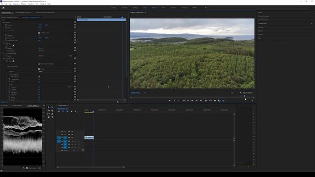 Fix fluctuating/changing Exposure and ISO in Post // Premiere Pro Tutorial 2020 смотреть онлайн