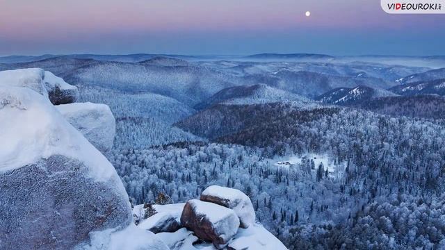 Таежная зона смотреть онлайн