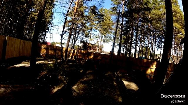 Пилим дерево сверху вниз смотреть онлайн