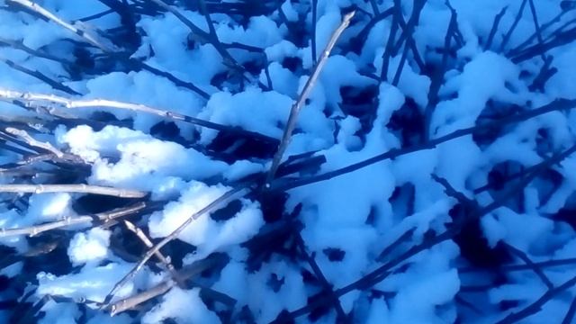 Самый простой способ хранения инжира ) смотреть онлайн