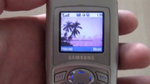 Samsung C100 Incoming Call