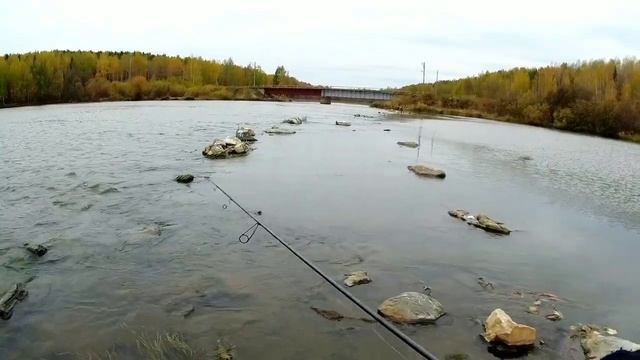 Мормышинг. Ловля октябрьского ельца на MATAGI twa-662 xul и микроприманки Sport Fishing смотреть онлайн