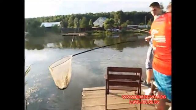 Платная рыбалка в Пирогово-Коргашино смотреть онлайн