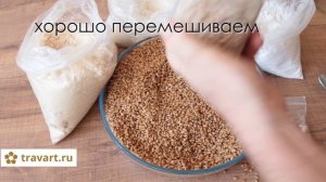 Выращивание мицелий грибов на пшенице. Выращивание грибов Грибоводство  малый бизнес идея ТРАВАРТ