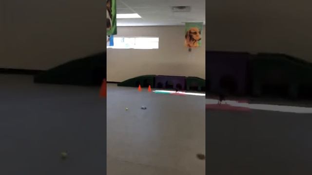 Vivi! Sunday Morning смотреть онлайн